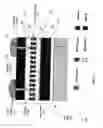 Fig. 03 - Multi-die processor