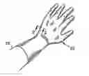 Fig. 01 - Method for forming an elastomeric article