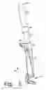 Fig. 07 - Front suspension for motorcycle