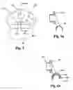 Fig. 03 - Low friction D-ring or web guide