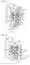 Fig. 06 - Door and window securement apparatus and method of use thereof
