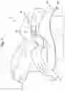 Fig. 02 - Infant car seat