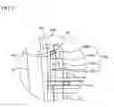 Fig. 19 - Door apparatus for drawer type refrigerator