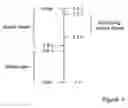 Fig. 05 - Apparatus for controlling modulation of an alternating waveform on a DC voltage signal within a low-noise block controller