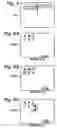 Fig. 04 - Method, system, and apparatus to identify and transmit data to an image display