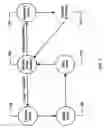 Fig. 08 - Commercial communication system