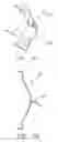 Fig. 11 - Anti-theft tag