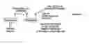 Fig. 01 - Cooperative vehicular identification system