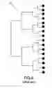 Fig. 10 - Undersampled microstrip array using multilevel and space-filling shaped elements