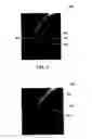 Fig. 06 - Haptic graphical user interface for adjusting mapped texture