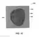 Fig. 09 - Haptic graphical user interface for adjusting mapped texture