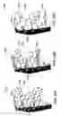 Fig. 22 - Haptic graphical user interface for adjusting mapped texture