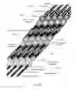 Fig. 63 - Printhead receivingly engageble within a printer