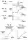 Fig. 04 - Video signal processing apparatus, for controlling contrast compensation and edge compensation in relation to each other in depedence on luminance of an image, and television receiver including the same