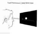 Fig. 01 - Computerized virtual reflex perimetry