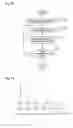 Fig. 12 - Particulate determination method