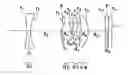 Fig. 01 - Zoom optical system, and electronics incorporating the same