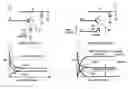 Fig. 01 - Gated diode memory cells