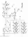 Fig. 06 - Self timed bit and read/write pulse stretchers