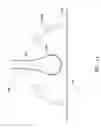 Fig. 08 - Flexible whisk