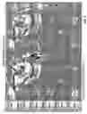 Fig. 07 - Methods for acquiring and processing seismic data from quasi-simultaneously activated translating energy sources