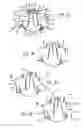 Fig. 15 - Snapping and hinging arrangements, watches and associated methods