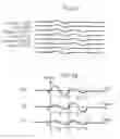 Fig. 07 - Optical disk including address data recording region formed with paired wobbling sections of identical phase