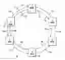 Fig. 01 - Method and system for protecting frame relay traffic over SONET rings