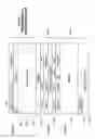 Fig. 29 - Home agent apparatus, mobile router communication system, and communication method