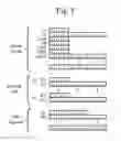 Fig. 05 - Method of device-to-device communications in hybrid distributed device control networks