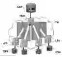 Fig. 01 - Method for the protection of the connection between a transport network hub and a central site/pop