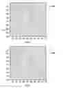 Fig. 06 - Fingerprint minutiae matching using scoring techniques