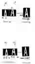 Fig. 07 - Methods and systems for combining a plurality of radiographic images