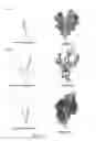 Fig. 07 - System and method for constructing large-scaled drawings of similar objects