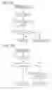 Fig. 13 - Method and apparatus for correcting pixel image signal intensity