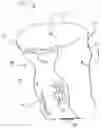 Fig. 01 - Trash bag with adhesive