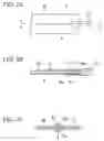 Fig. 03 - Optical fiber sheet and optical fiber sheet production method