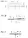 Fig. 04 - Optical fiber sheet and optical fiber sheet production method