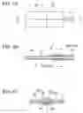 Fig. 07 - Optical fiber sheet and optical fiber sheet production method