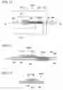Fig. 16 - Optical fiber sheet and optical fiber sheet production method