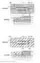 Fig. 07 - Optical functional device based on Mach-Zehnder interferometer