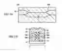 Fig. 09 - Optical functional device based on Mach-Zehnder interferometer