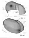 Fig. 22 - Etendue-squeezing illumination optics
