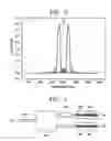 Fig. 03 - Ultrahigh-frequency light source using dual-wavelength laser with 3-dB beam splitter and method of manufacturing the same