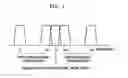 Fig. 02 - Apparatus for providing broadcasting service through overlay structure in WDM-PON