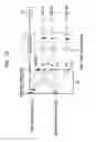 Fig. 04 - Apparatus for providing broadcasting service through overlay structure in WDM-PON