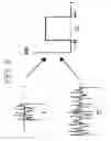 Fig. 07 - Method of transmitting information with the help of chaotic signals