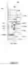 Fig. 32 - Information processing apparatus and transportation path opening/closing mechanism