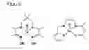 Fig. 04 - Method of encapsulating metal complex within liposomes