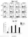 Fig. 04 - Type1 diabetes diagnostics and therapeutics